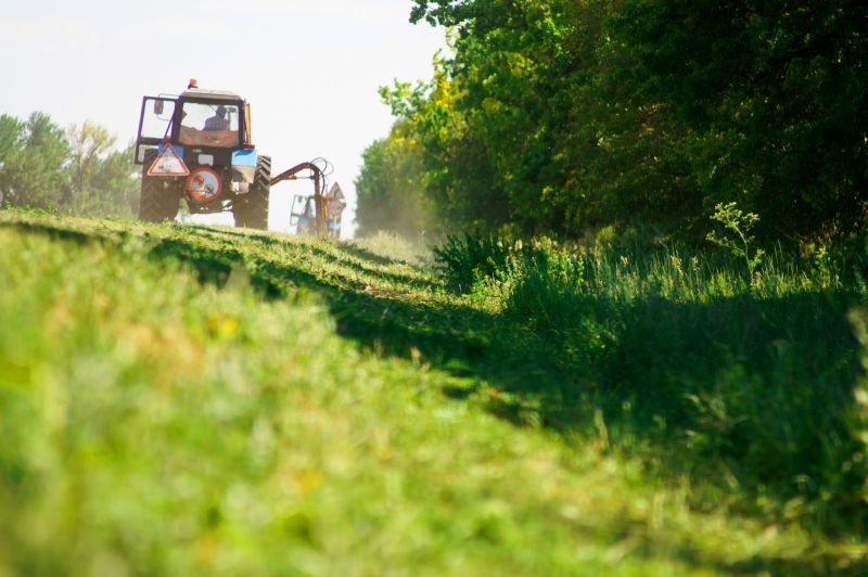 Brush Hogging