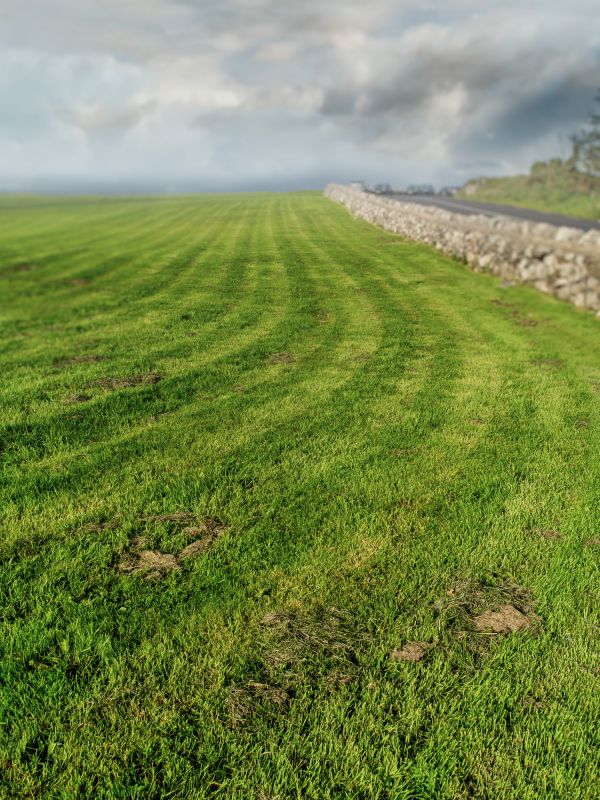 Brush Mowing Service in Calvert County, MD