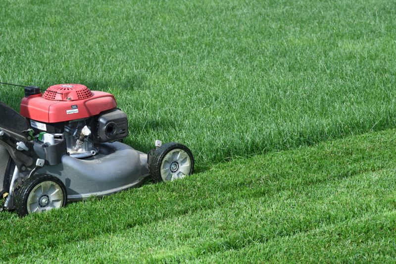Pasture Mowing in Duluth, MN