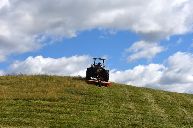 Understanding Brush Hogging Costs — Cost of Brush Hogging