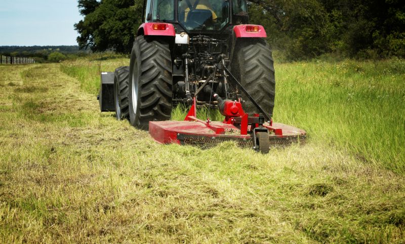 Understanding Brush Hogging Costs — Cost of Brush Hogging