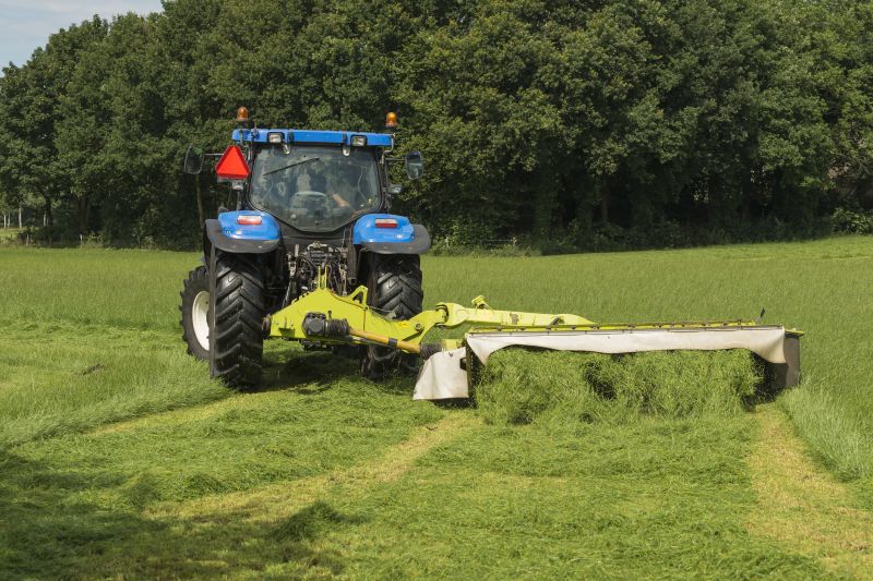 Understanding Brush Hogging Costs — Cost of Brush Hogging