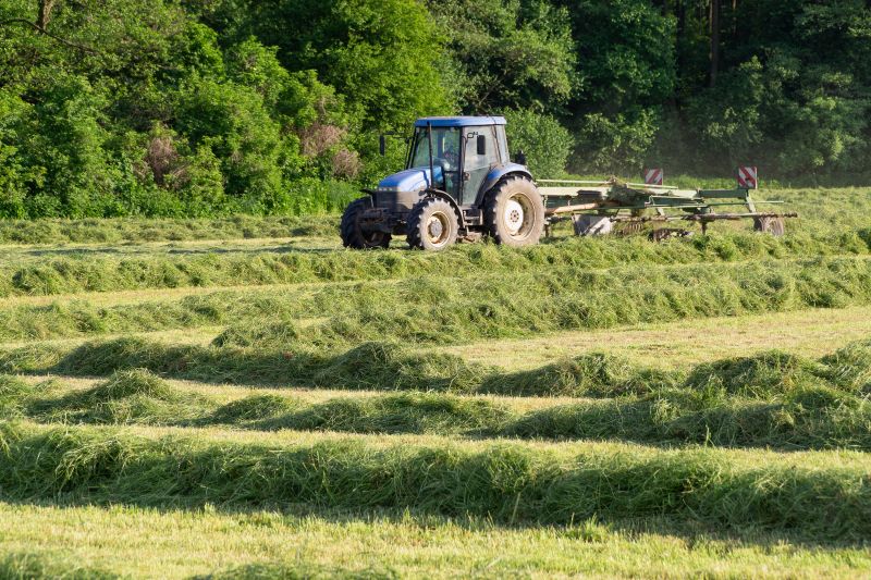 Brush Hogging Services for Land Clearing
